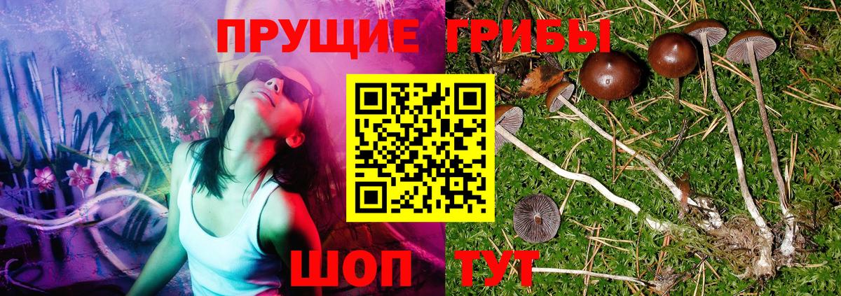 Псилоцибиновые грибы Psilocybine cubensis  продажа наркотиков  Владикавказ  Вход с VPN 