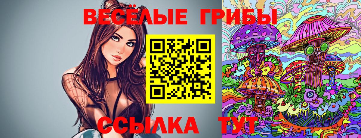 Псилоцибиновые грибы Psilocybe Владикавказ
